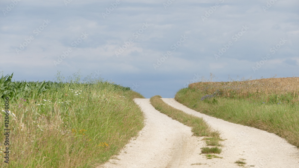 Wanderweg durch Felder