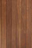 Cedar wooden wall background