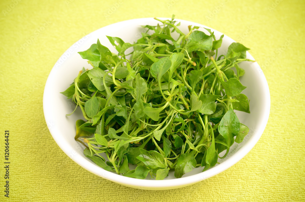 Fresh watercress (aquatic plant) in the bowl,organic vegetable,clean eating Fresh watercress (aquatic plant) in the bowl,organic vegetable,clean eating