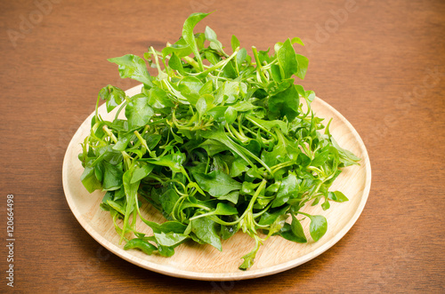 Fresh watercress (aquatic plant) on wooden plate,organic vegetable,clean eating