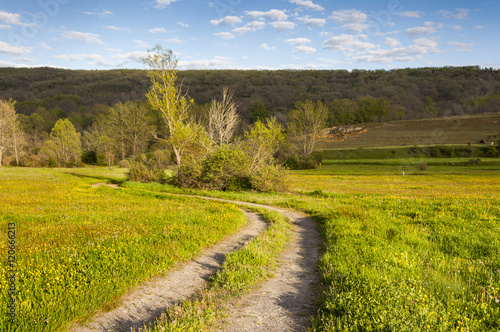 Hay meadows in the Fenar Valley, La Robla Municipality, in Leon Province, Spain