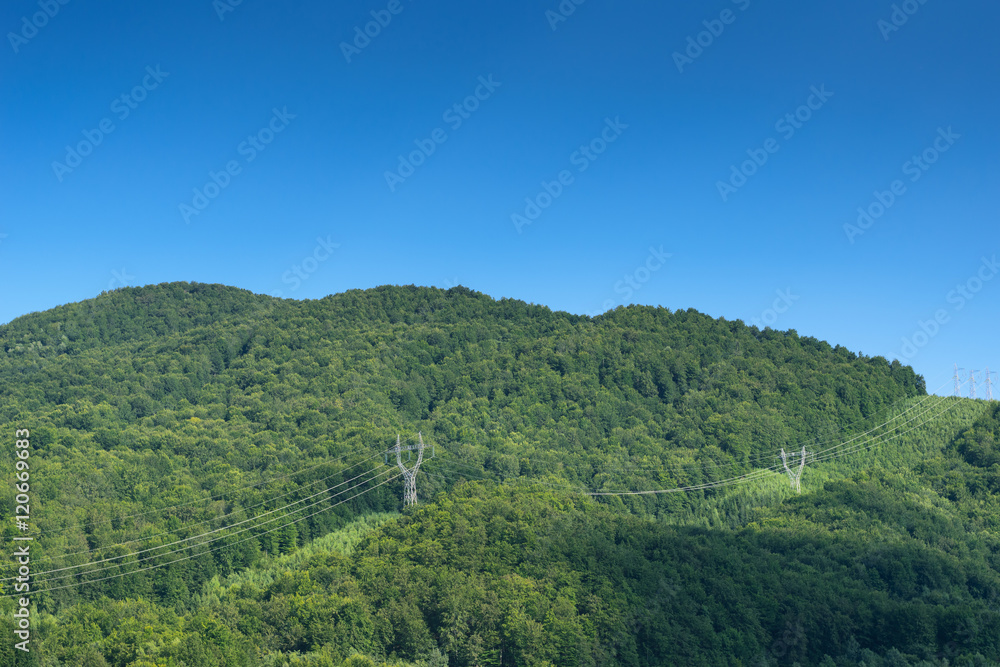 High Power Line accros forest