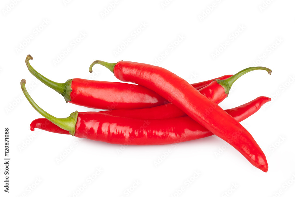 red chili or chilli cayenne pepper isolated on white background red chili or chilli cayenne pepper isolated on white background