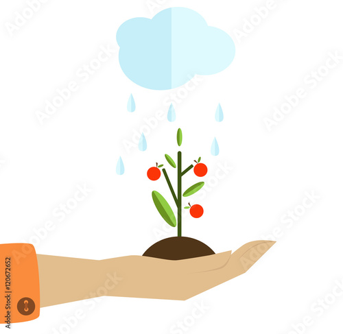 Human hand holding a green plant and a cloud watering it.