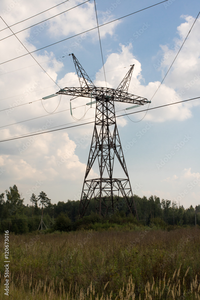 Metal backbone transmission line near the forest