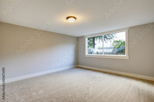 Empty room interior with blue tones walls and carpet floor.