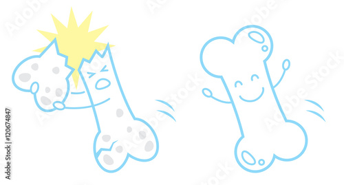 強い骨と弱い骨