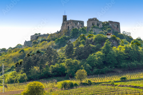 Burgruine Falkenstein, Niederösterreich photo