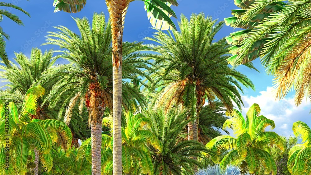 Tropical jungle during a day 3d rendering