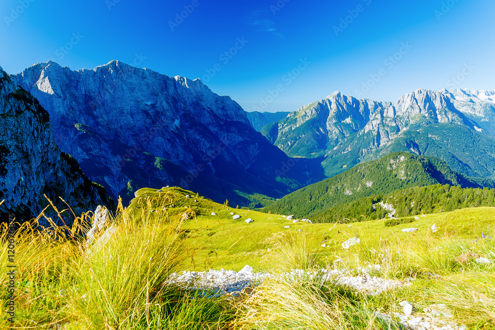Fototapeta premium Beautiful alps landscape. Beautiful majestic mountain peaks.