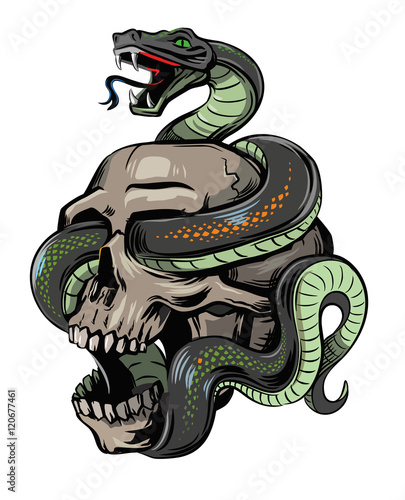 vector skull with snake