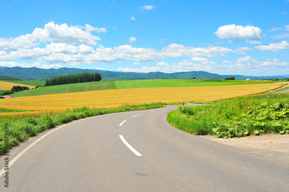 Rural Road at Countryside of Hokkaido, Japan