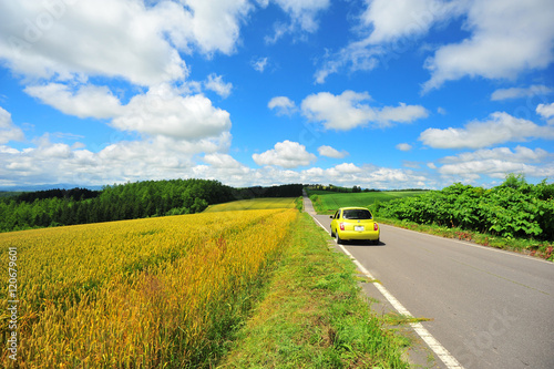 Rural Road at Countryside of Hokkaido, Japan © karinkamon