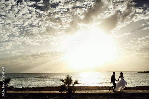 Bride and groom near the ocean