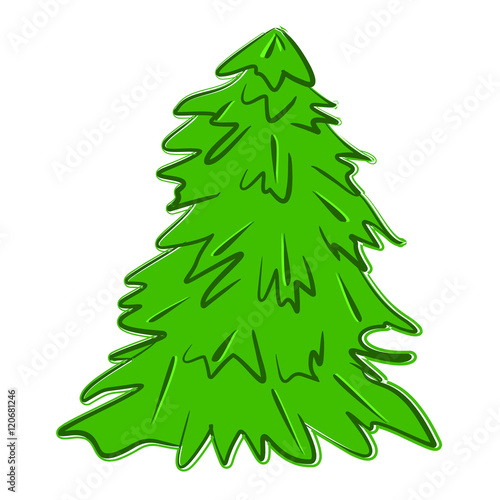 spruce