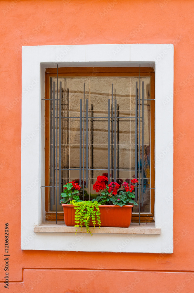 Window with flowers on red wall