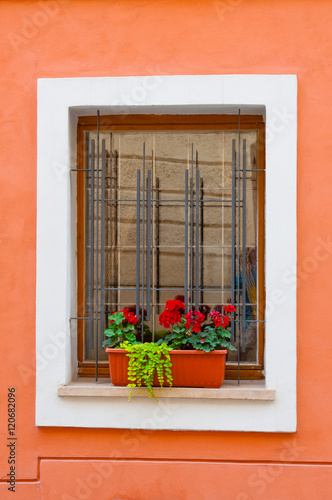 Window with flowers on red wall