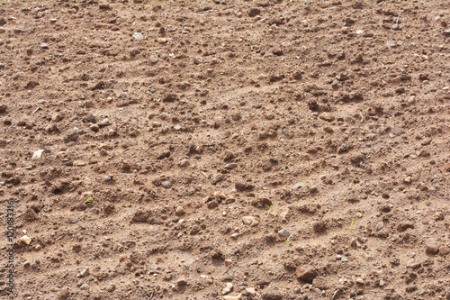 Rocky Farm Field Texture Dirt Rocks Background