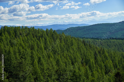 Altai mountains forest landscape in Ulagan Highlands