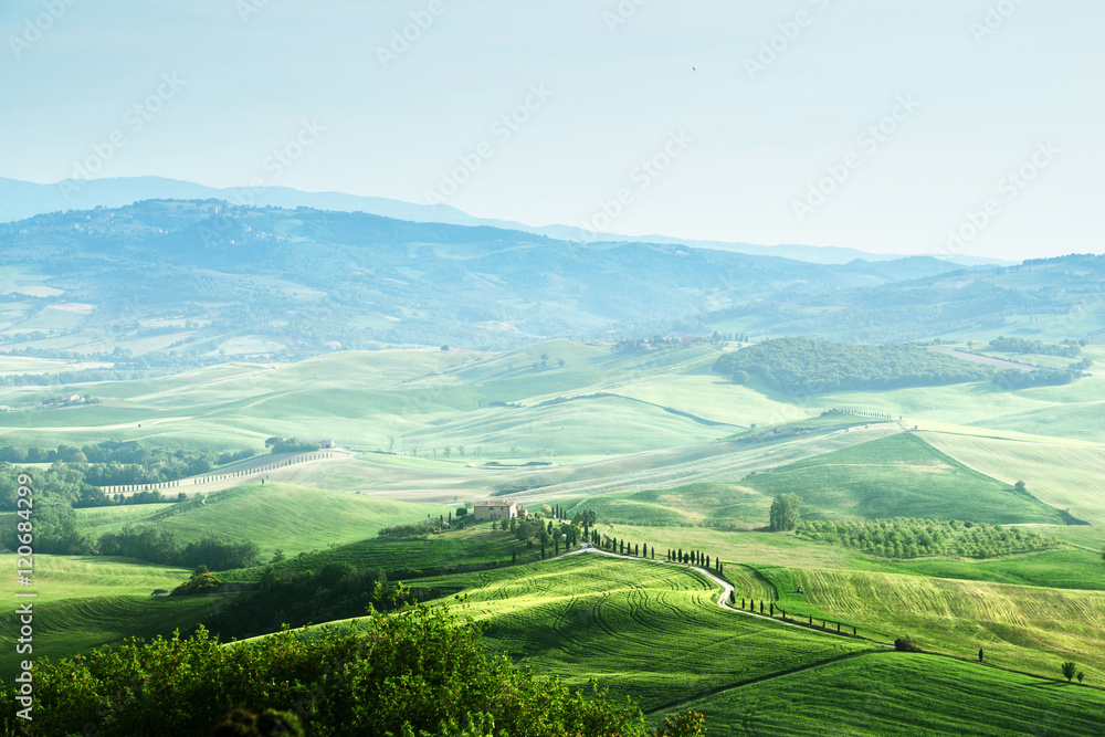 tuscany sprig landscape,  Italy
