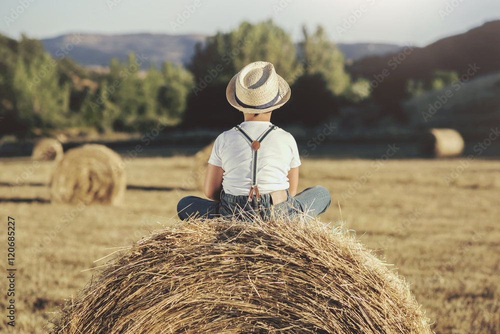 niño solitario en el campo niño solitario en el campo