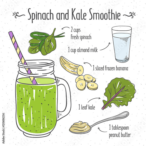 Spinach and kale smoothie. Smoothie recipe cooking illustration. Hand drawn recipe ingredients