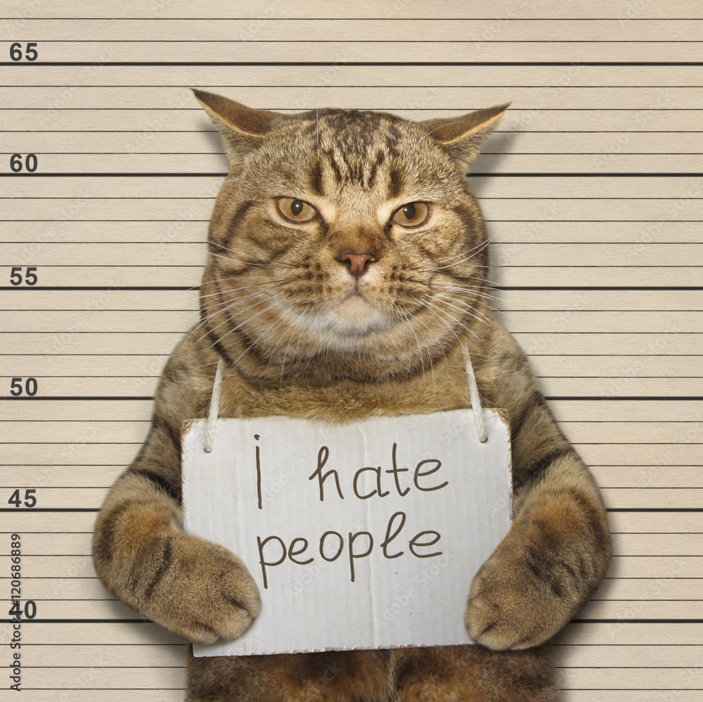 Obraz premium Zły kot nienawidzi ludzi. Został aresztowany.