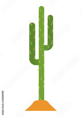 Cactus and earth icon. Plant deset and green theme. Isolated design. Vector illustration