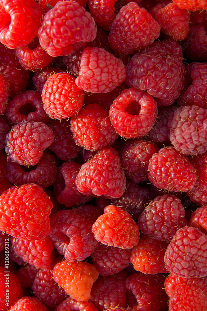 Close up of the ripe raspberry as background. Close up of the ripe raspberry as background.