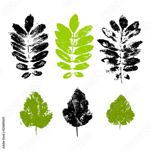 Set of paint prints of leaves
