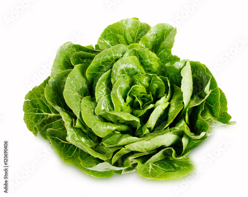 Fresh Green Lettuce isolated on a white background