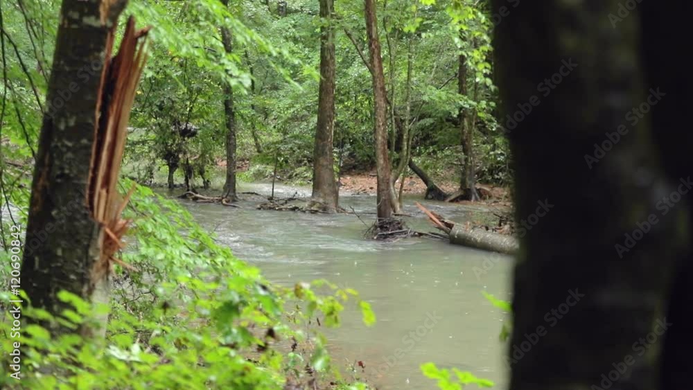 A flowing creek in a forest, in slow motion among trees and broken logs. A flowing creek in a forest, in slow motion among trees and broken logs.