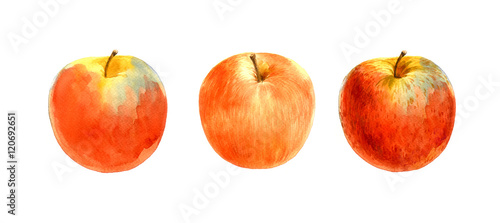 red apple watercolor on whitebackgroung