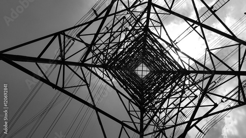 Bottom view of electric pole with beautiful sky in black and white shot. Plant, Power.