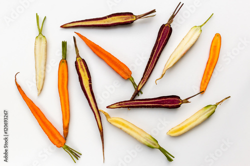 Organic heirloom carrot varieties of purple, orange and white carrots