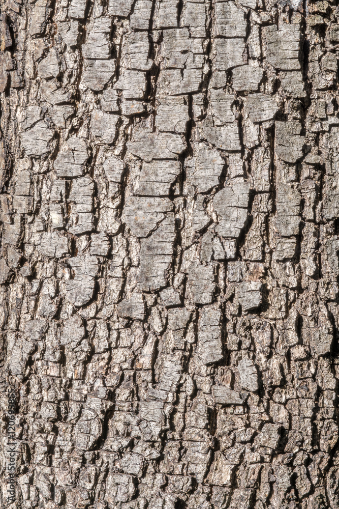 Wall Texture | Wand Textur Wall Texture | Wand Textur