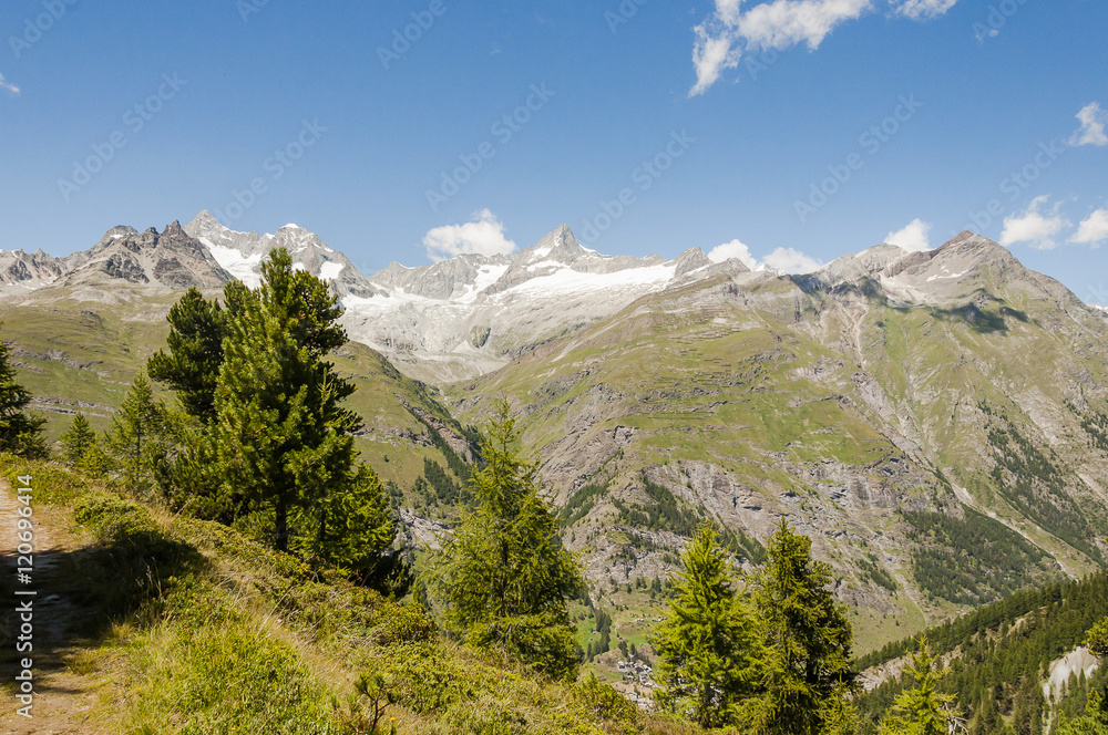 Fototapeta premium Zermatt, Wallis, Alpen, Schweizer Berge, Wellenkuppe, Ober Gabelhorn, Riffelalp, Findeln, Wanderweg, Lärchenwald, Sommer, Schweiz