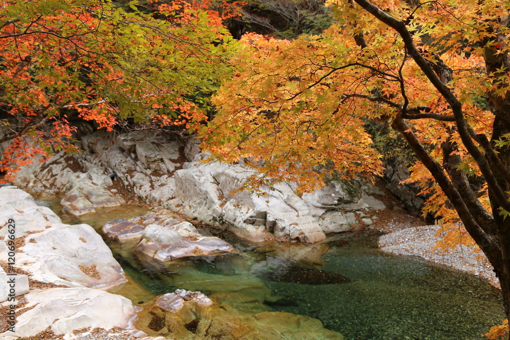 天川村 川迫川渓谷の紅葉 Photos Adobe Stock 天川村 川迫川渓谷の紅葉 Photos Adobe Stock