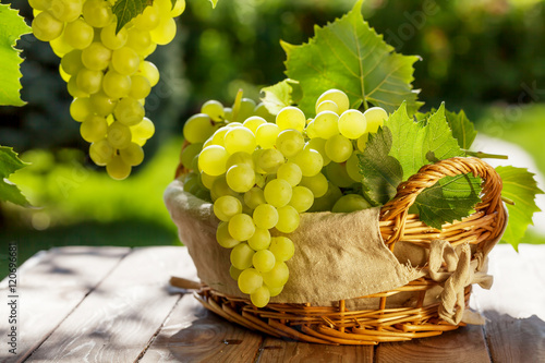 Konstfotografi White grapes