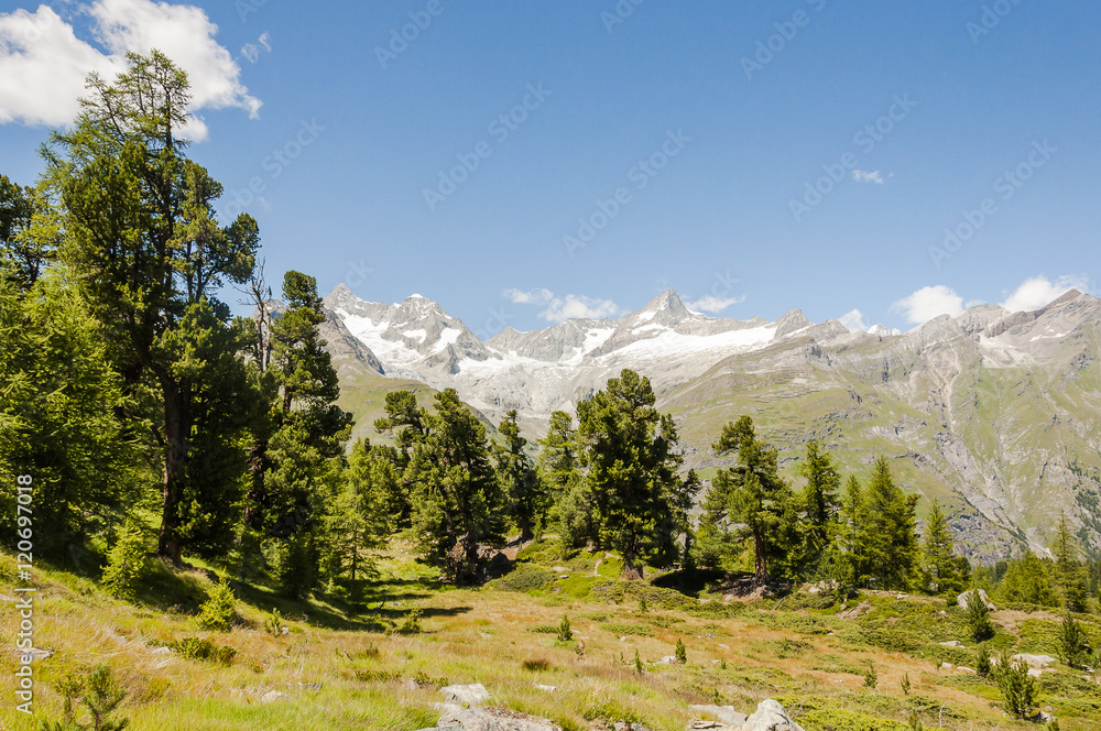 Zermatt, Dorf, Wallis, Alpen, Wanderweg, Schweizer Berge, Findeln, Riffelalp, Lärchenwald, Bergbauer, Sommerferien, Sommer, Schweiz