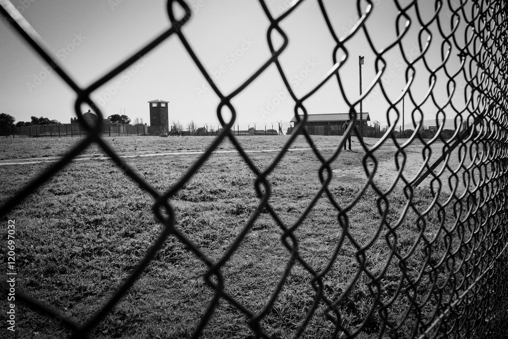 Fototapeta premium Rete metallica in bianco e nero