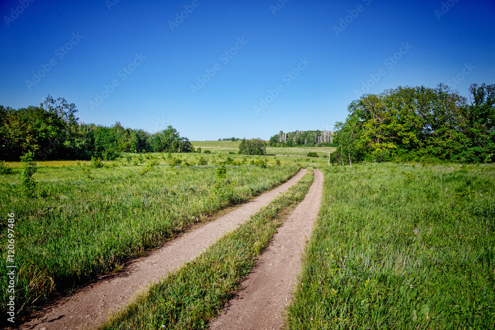 country road in field