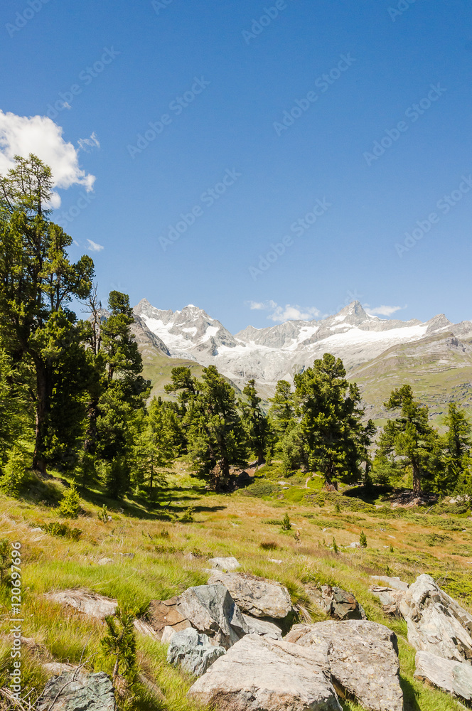 Zermatt, Alpen, Wallis, Wanderweg, Riffelalp, Findeln, Findelbach, Lärchenwald, Schweizer Berge, Sommer, Schweiz Zermatt, Alpen, Wallis, Wanderweg, Riffelalp, Findeln, Findelbach, Lärchenwald, Schweizer Berge, Sommer, Schweiz