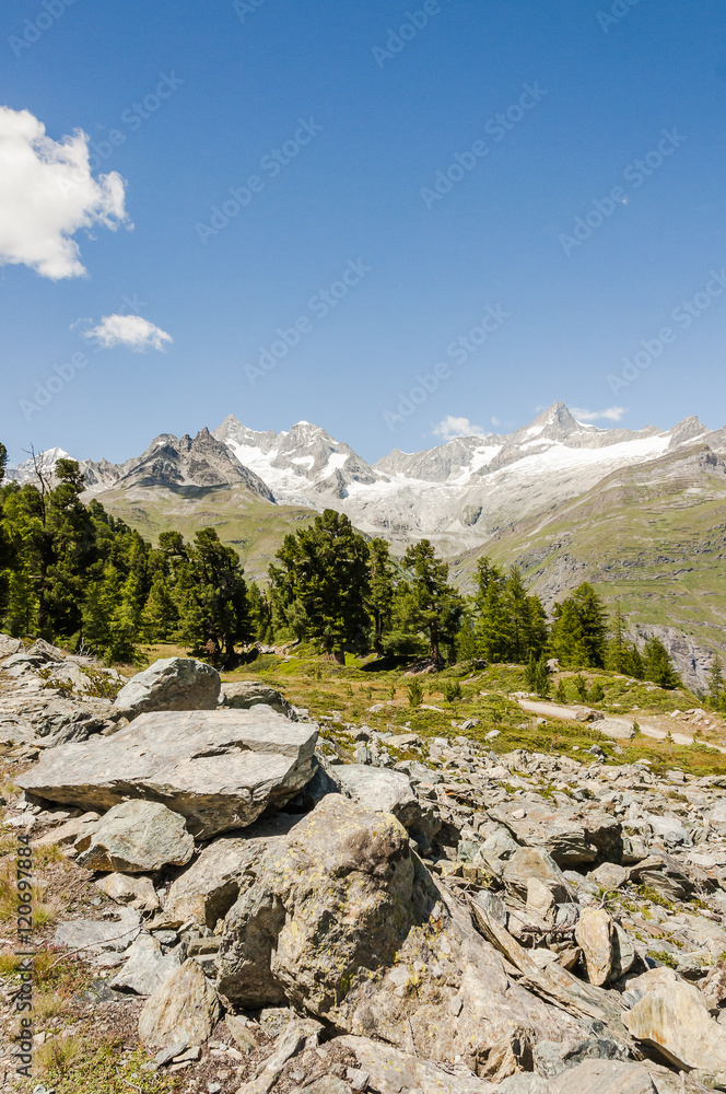 Zermatt. Bergdorf, Alpen, Wallis, Wanderweg, Naturweg, Riffelalp, Lärchenwald, Findelschlucht, Schweizer Berge, Sommer, Schweiz