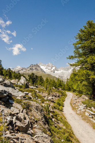 Zermatt, Wallis, Alpen, Bergdorf, Wanderweg, Naturweg, Findelbach, Findelschlucht, Lärchenwald, Schweizer Berge, Sommer, Schweiz