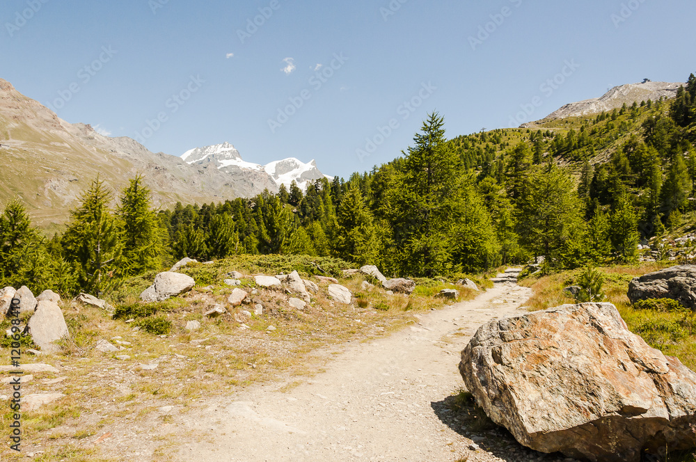 Zermatt, Bergdorf, Wanderweg, Naturweg, Riffelalp, Findeln, Findelbach, Sunnegga, Lärchenwald, Wallis, Alpen, Schweizer Berge, Sommer, Schweiz