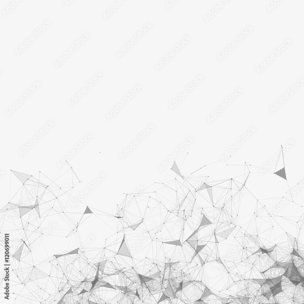 Fototapeta premium Black and White Mesh Vector Background | EPS10 Design