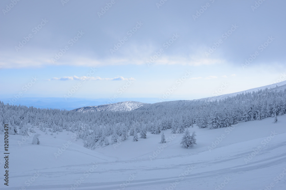 冬の蔵王山 冬の蔵王山