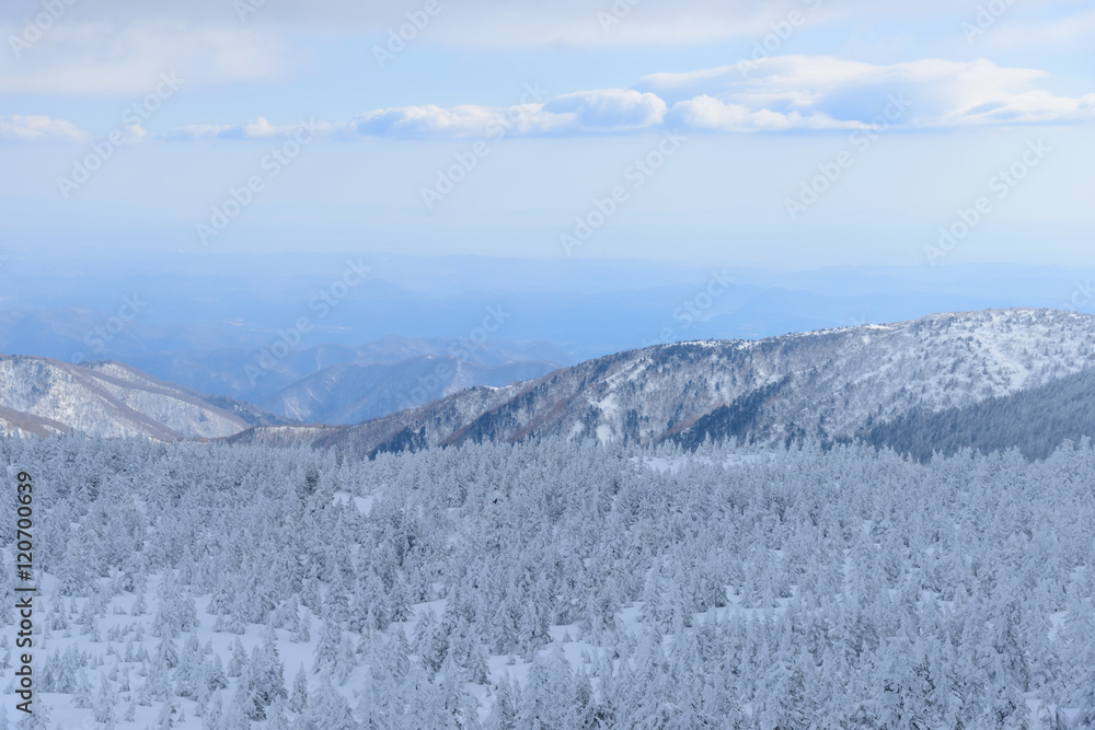 冬の蔵王山
