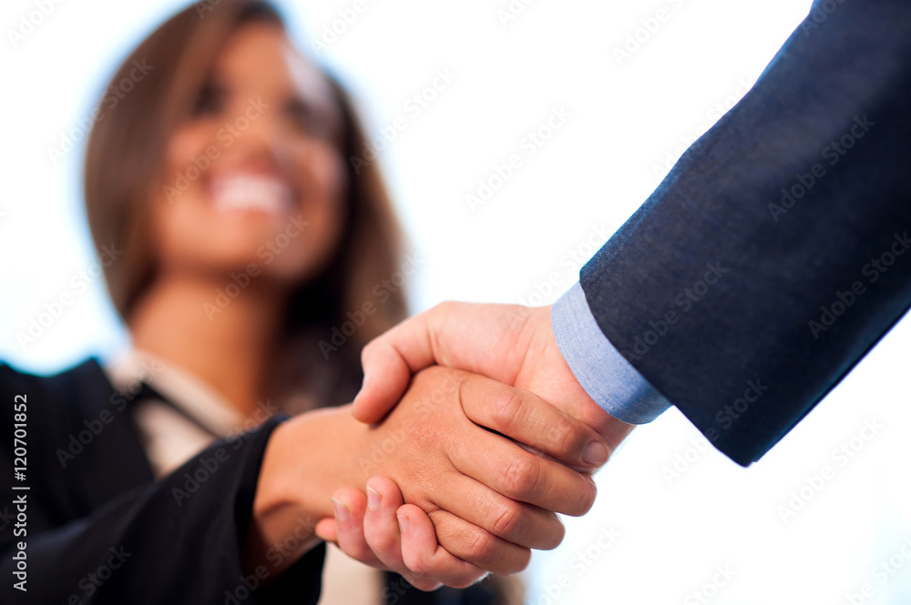 Picture of two business people shaking hands